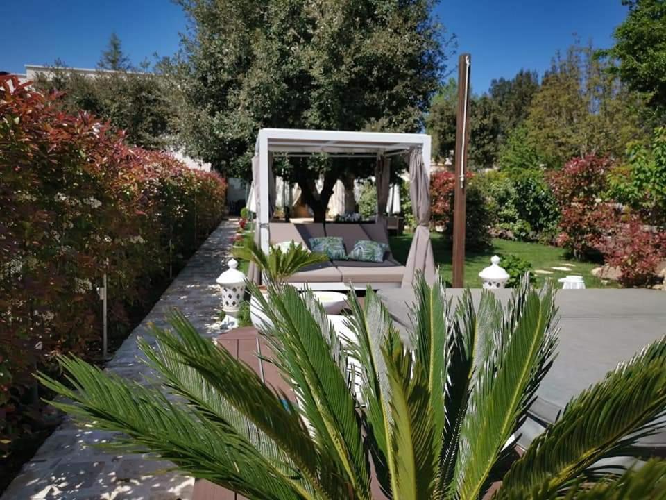 Apulia Dream B&B Le Lamie di Olimpe Bagian luar foto